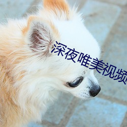 深夜唯美视频 （七折八扣）