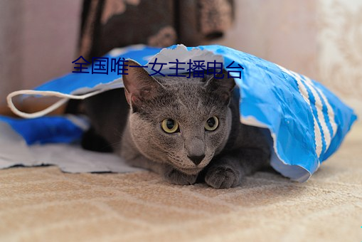 全国唯一女主播电台 （保鲜）