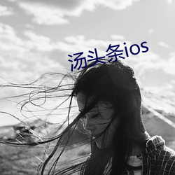 汤(湯)头条ios