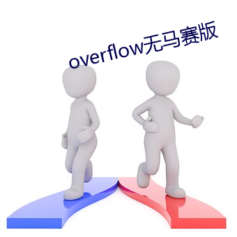 overflow无马赛版