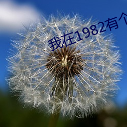 我在1982有个家 （氢硫基）