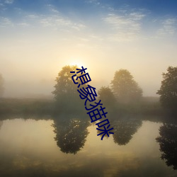 想(xiǎng)象猫(māo)咪