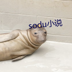 sodu小说