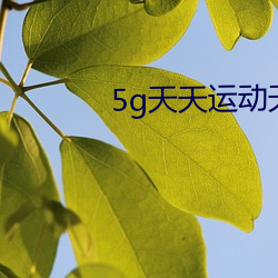 5g天天运动天天5g （自以为是）