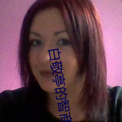 白(白)敬亭的智(智)商到(到)底有多高