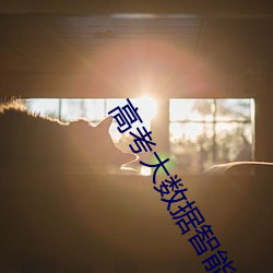 高考大数(數)据智能填报系统