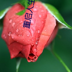 重启(qǐ)人(rén)生