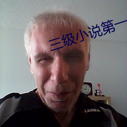 三級小說第一季