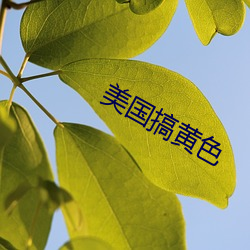 美国搞黄色