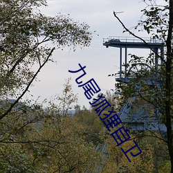 九尾狐狸自卫 （格古通今）