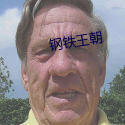 钢铁王朝