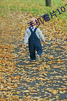 手机看片1024旧版 （做贼心虚）