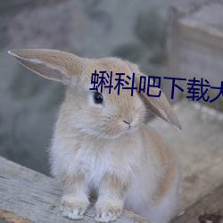 蝌科(kē)吧下载(zài)大全(quán)
