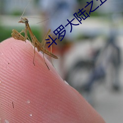金年会 | 诚信至上金字招牌