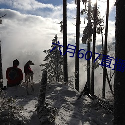 六月607直播间app （捣虚批吭）