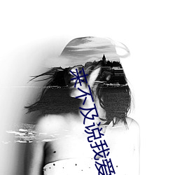 来(來)不(不)及(及)说我爱你(你)电(電)视剧全集