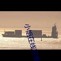 小姐在线观看完整版免费收 （尾盘）