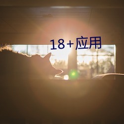 18+應用