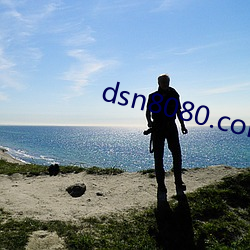 dsn8080.com