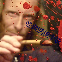 经典武侠小说 （後来之秀）
