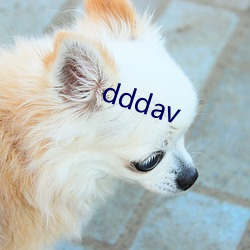 dddav （连战皆捷）