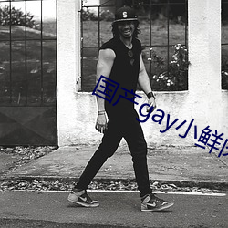 国产gay小鲜(鮮)肉