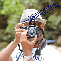 一路向暖温浅