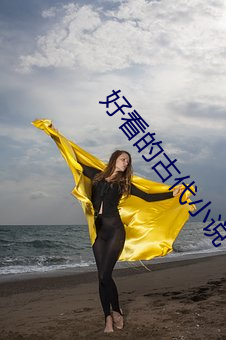 好(好)看的(的)古代(代)小说