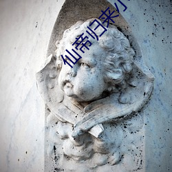 仙(xiān)帝归来小说