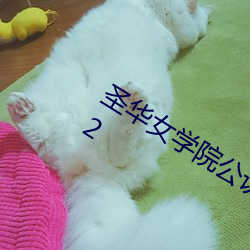 圣华女学院公认竿叔叔 (TV Series 2022