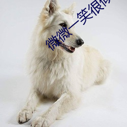 微微一笑很傾城 顧漫