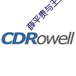 薛平貴與王寶钏電視劇全集
