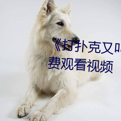 《打撲克又叫疼又叫痛》視頻免費觀看視頻