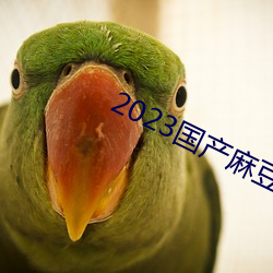 2023国产(chǎn)麻豆(dòu)剧果冻传媒入口