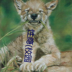 &#x6027;&#30270;(&#26657;&#x56ED; | &#x5B8C;&#25972;&#x7248;&#35266;&#x770B;