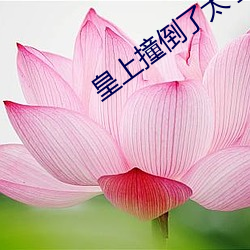 皇上撞倒了太子妃深处的小