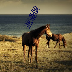 逍： （剖肝泣血）