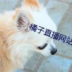 橘子直播网站
