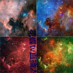 花蝶tv直播入口