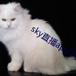 sky直播app下载大全(全)