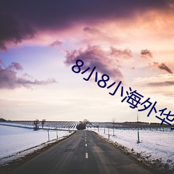 8小8小海外华人(人)2022新址