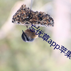 忘优草app苹果