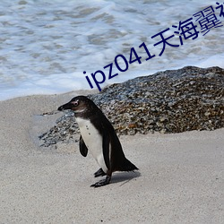 ipz041天海翼被犯女教師