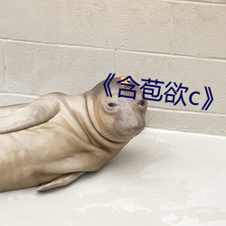 《含苞欲c》txt （打手）