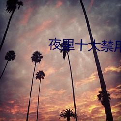 夜(夜)里十大禁(禁)用短视频app