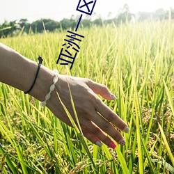 亞洲一區二區三區A片在線觀看
