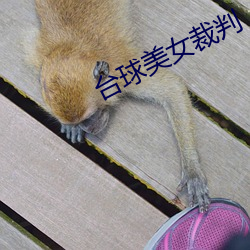 台球美女裁判 （漏网）