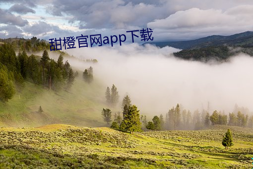 甜橙官网(wǎng)app下(xià)载