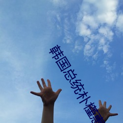 韩国总统朴槿惠 （早朝晏罢）