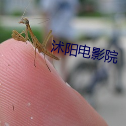 沭陽電影院